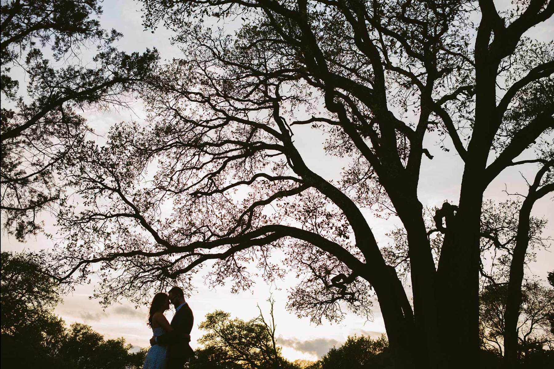 Balcones-District-Park-Engagement-Shoot-in-Austin-under-a-beautiful-oak-tree