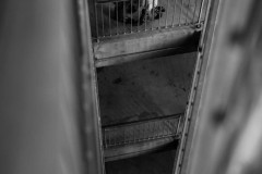 0052-0004-L2009432