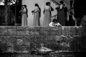 Little-boy-catches-the-sight-of-a-large-game-bird-at-the-McNay-Art-Museum-in-San-Antonio-Texas