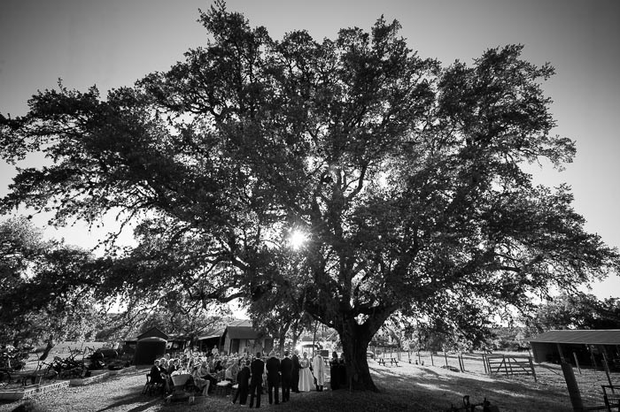 Dawn + David’s Wedding at Welfare Cafe, Texas