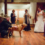 Dog fun at wedding reception Welfare Cafe