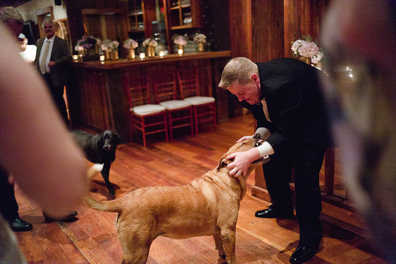 Groomsmen dancing with resident dog at wedding