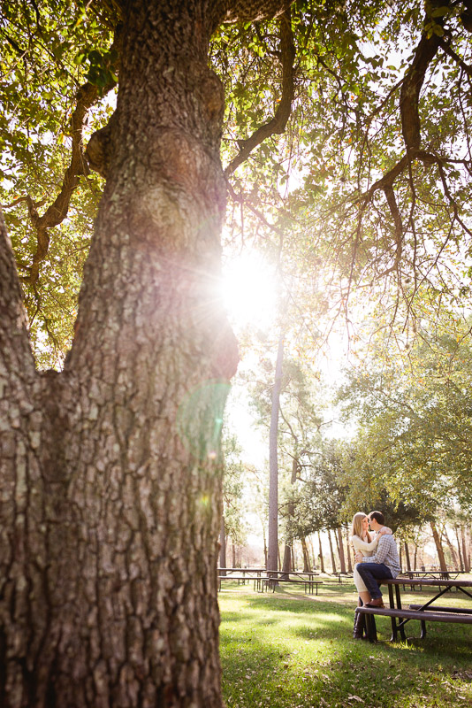 Hermann Park Engagement by tree shooting into sun