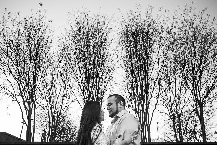 Engaged couple set against amazing trees along San Antonio river