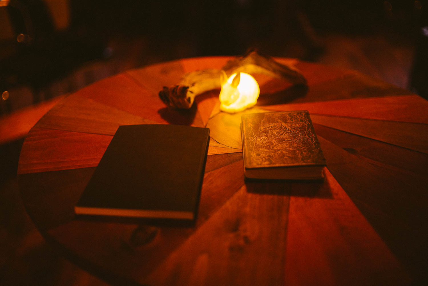 Beautiful light lits up two books at Takoma Park wedding Washington DC Leica Wedding photographer-Philip Thomas