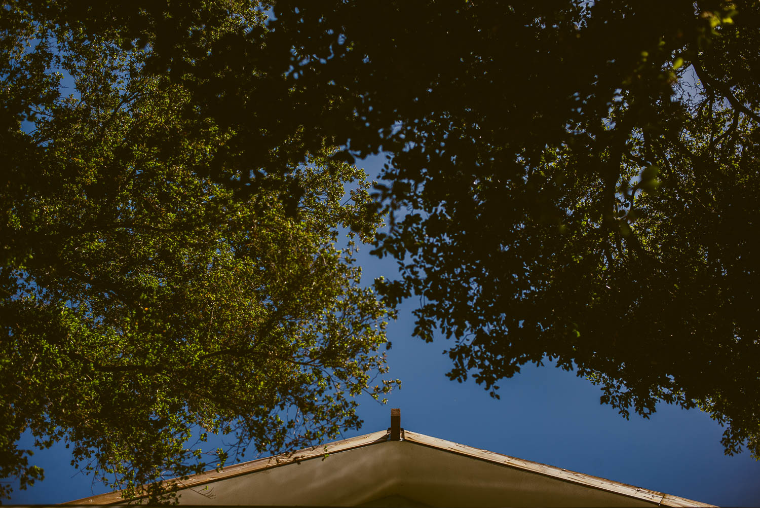 Roof detail 1909 Topanga California Wedding-Leica-Philip Thomas