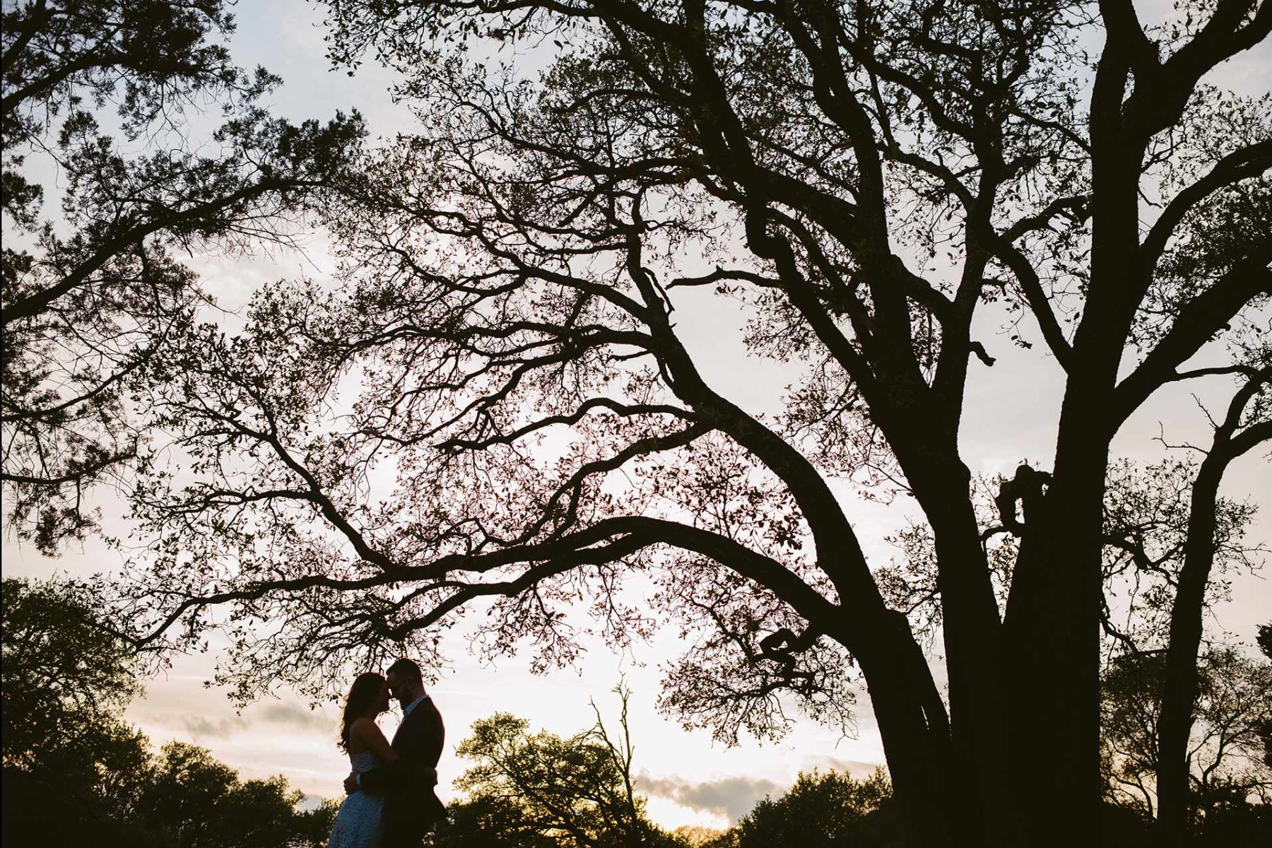 Balcones District Park Engagement Shoot in Austin under a beautiful oak tree