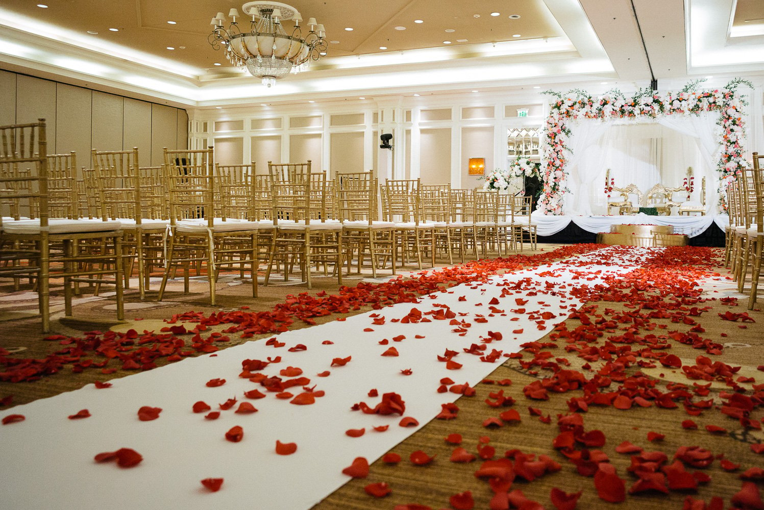 Rose petals in foreground set for Hindu Jewish fusion wedding Sugar Land Marriott Hotel Texas-007