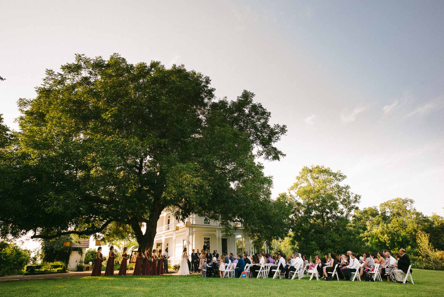 Wide shot of old oak tree and ceremony Barr Mansion Austin Wedding Photos-Philip Thomas