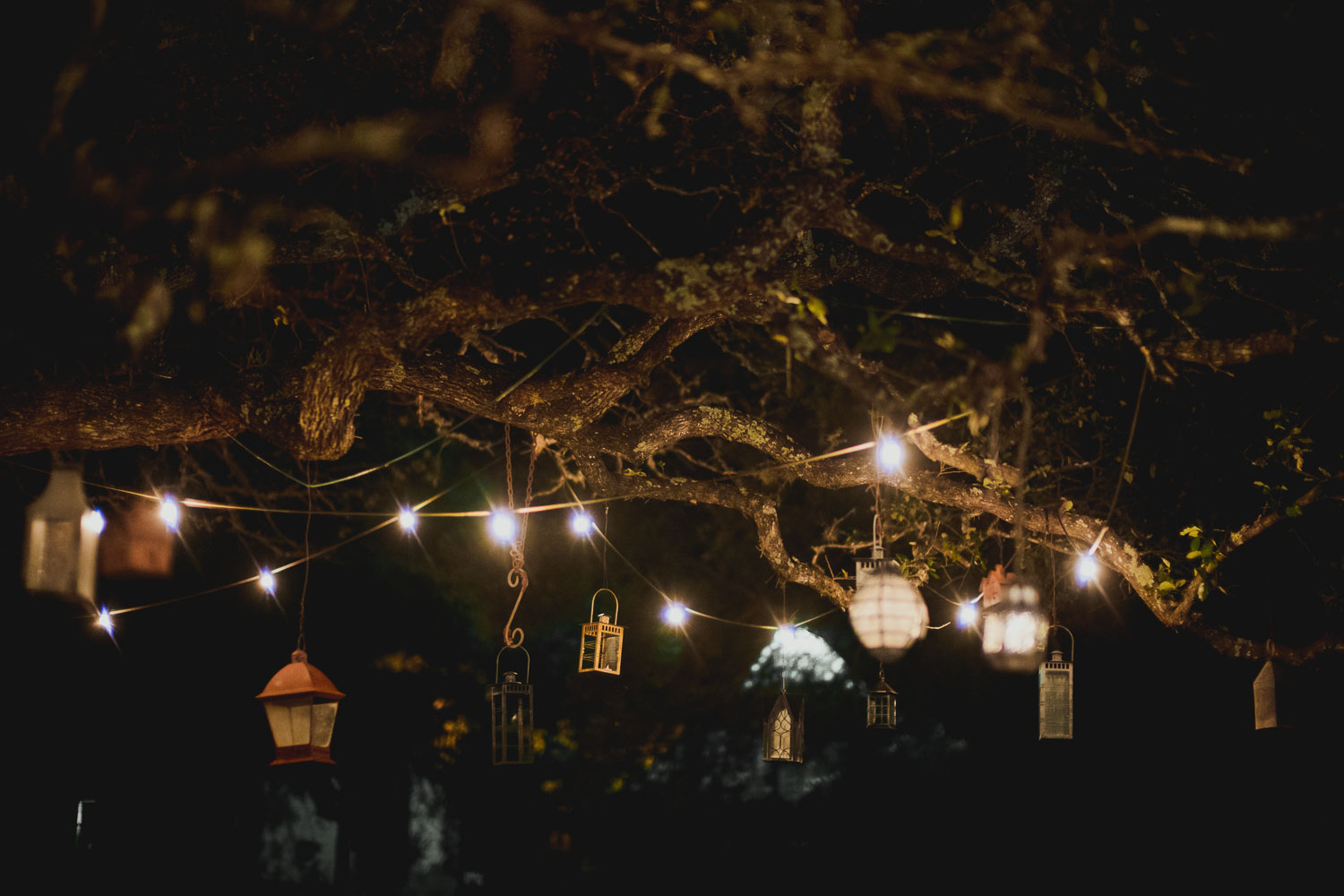 Lighting shown outside barn RUSTIC BARN WEDDING at VISTA WEST RANCH DRIPPING SPRINGS _ BRANDI + AJ-59