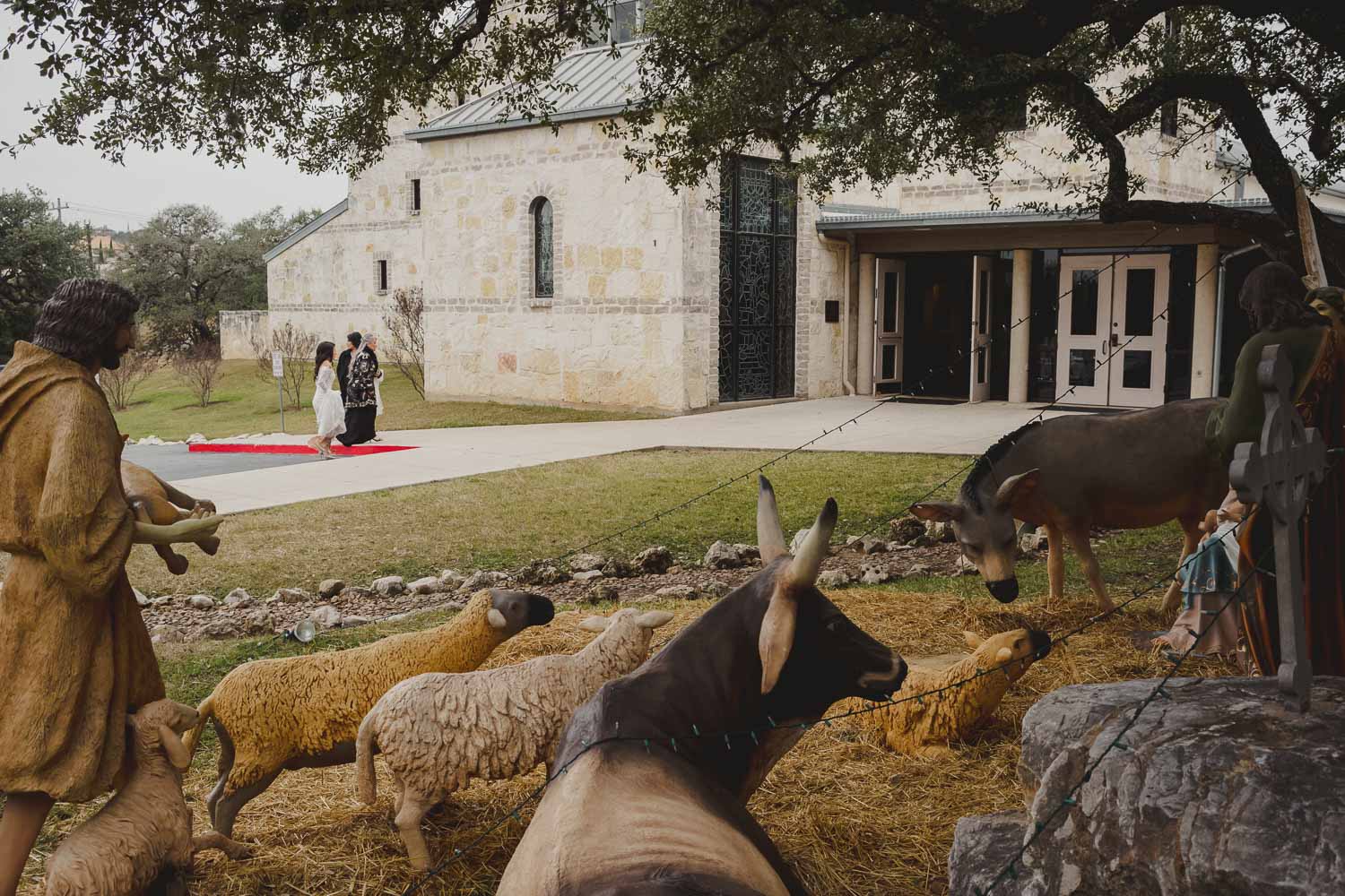 St. Anthony Hotel Wedding - San Antonio TX _ Celina + Lorenzo -15