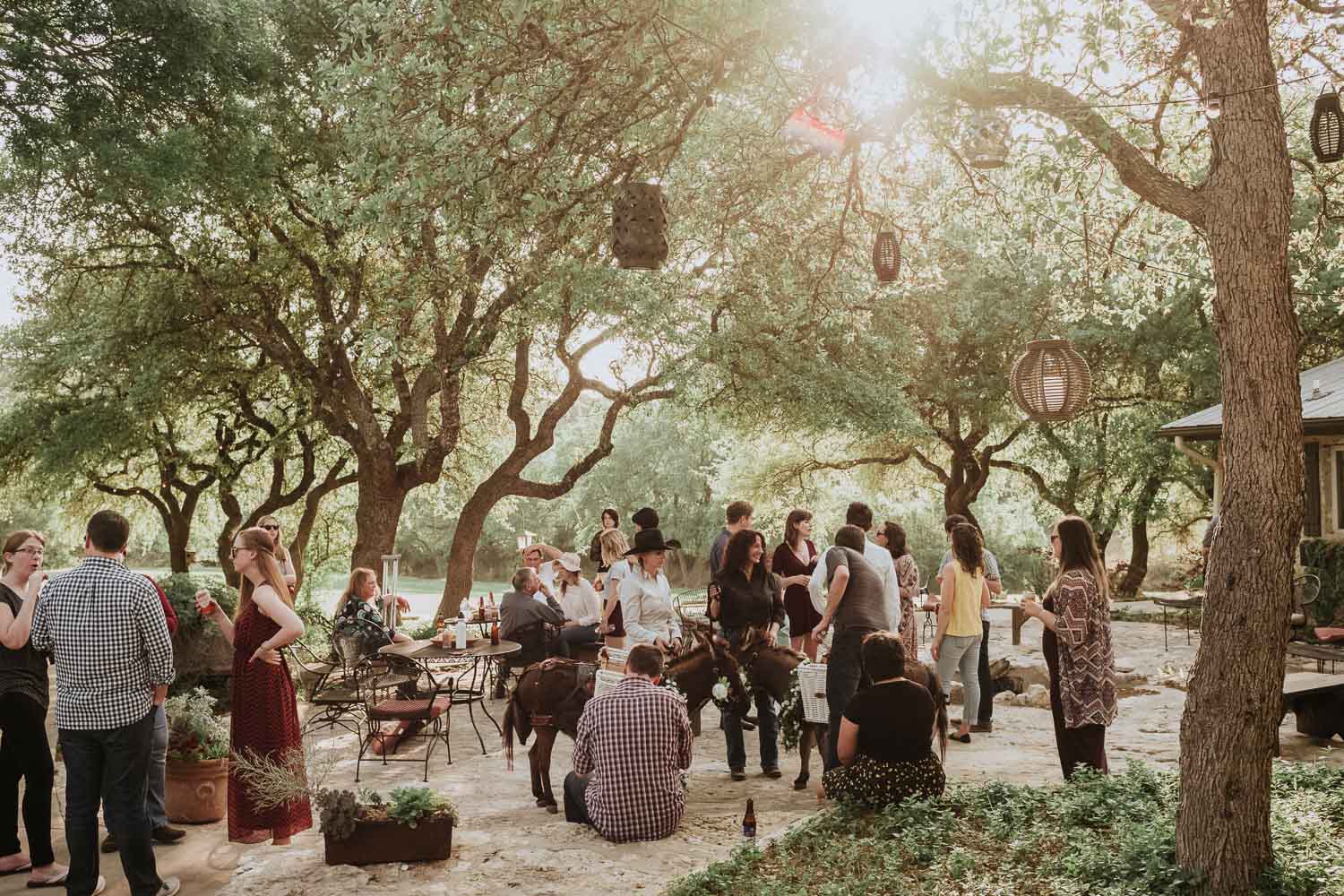 The Creek Haus Dripping Springs-Wedding photographer-Philip Thomas-001