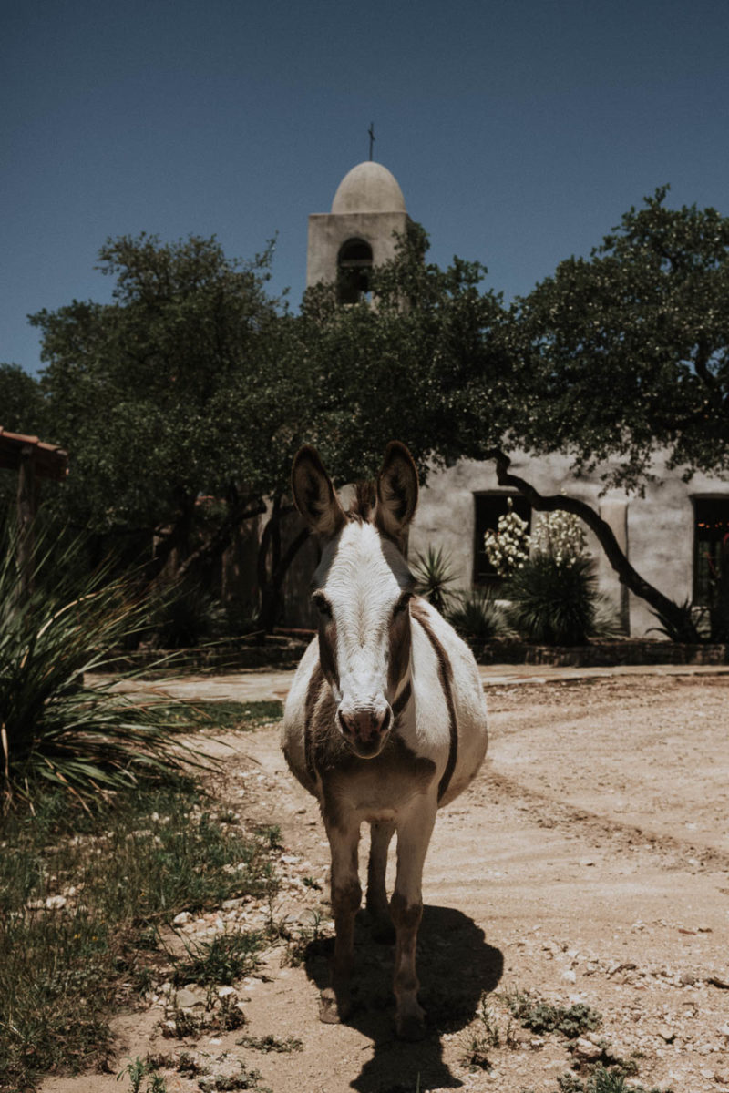 Lost Mission Wedding, Spring Branch Texas - Erica + Chris - San Antonio Wedding Photographer-07-Philip Thomas Photography 7