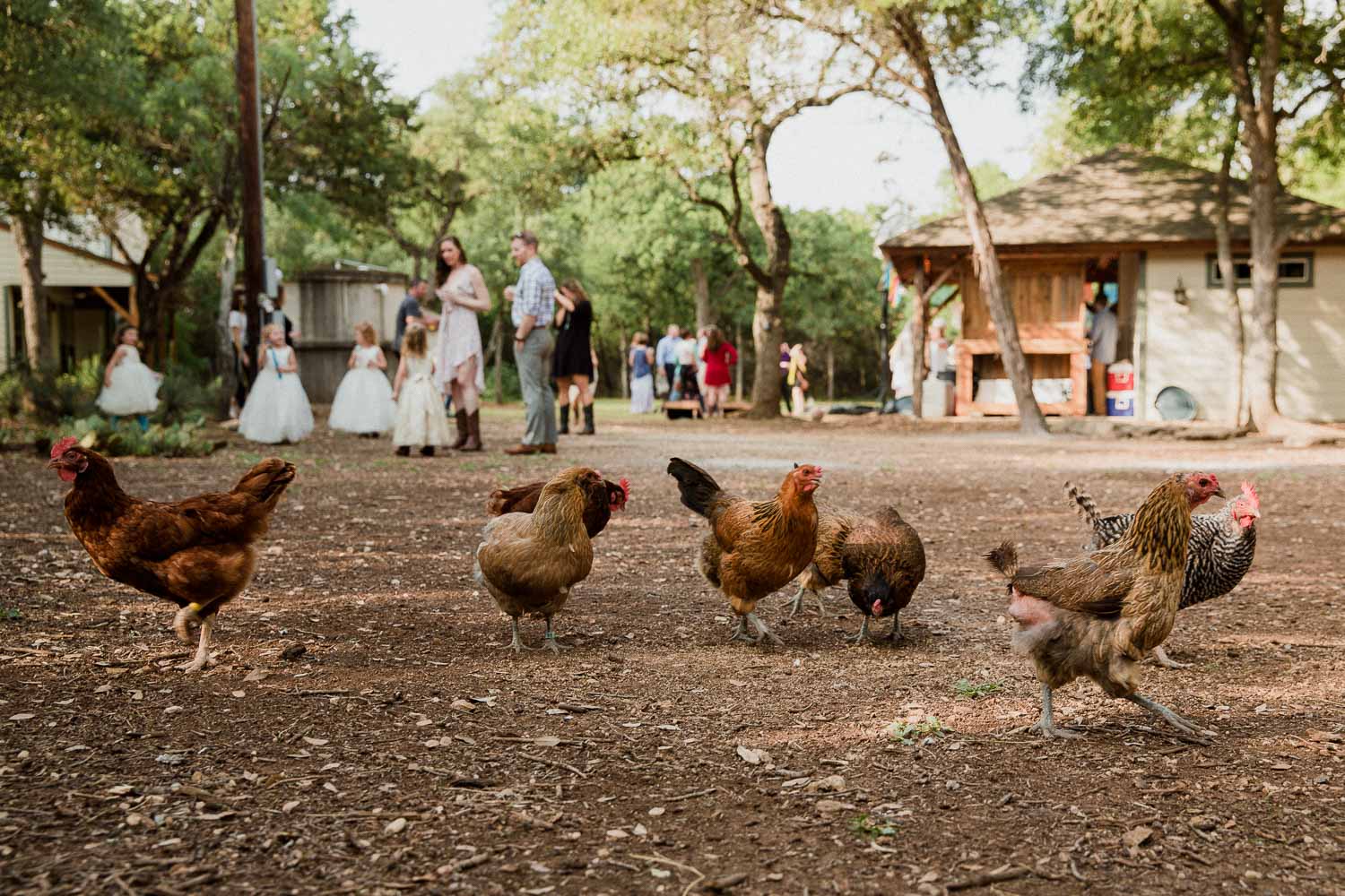 Texas Hill Country Ranch Wedding - Bri + Joe - American girls meets a Brit-Wedding photographer-Philip Thomas-050