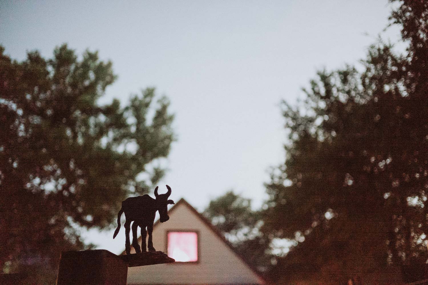 Texas Hill Country Ranch Wedding - Bri + Joe - American girls meets a Brit-Wedding photographer-Philip Thomas-077