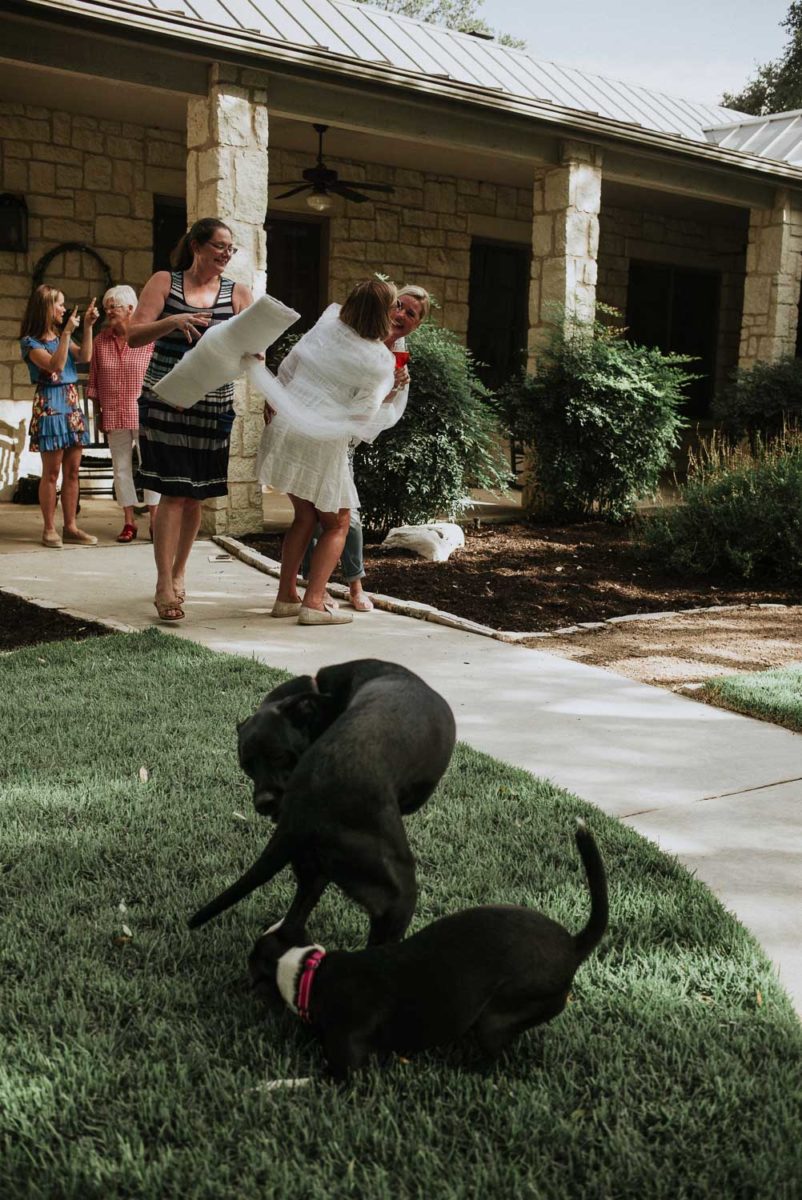 Dogs play in foreground and guests have fun with the runner cloth