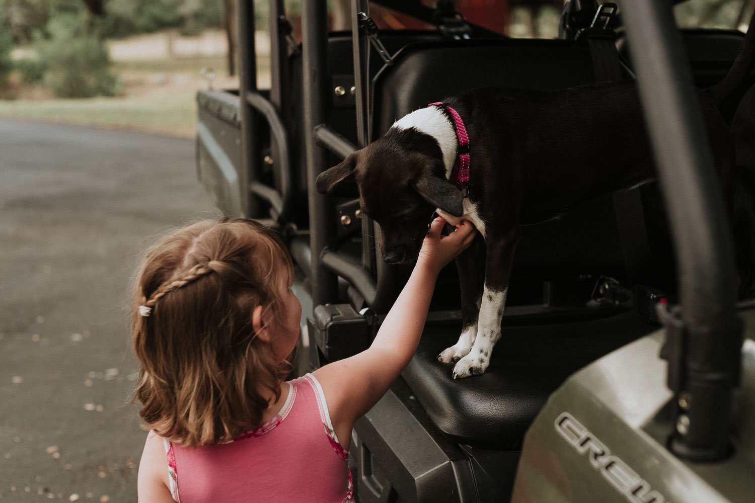 Little girl greets ranch dog at a wedding rehearsal dinner in the Hill Country, Bulverde, Texas