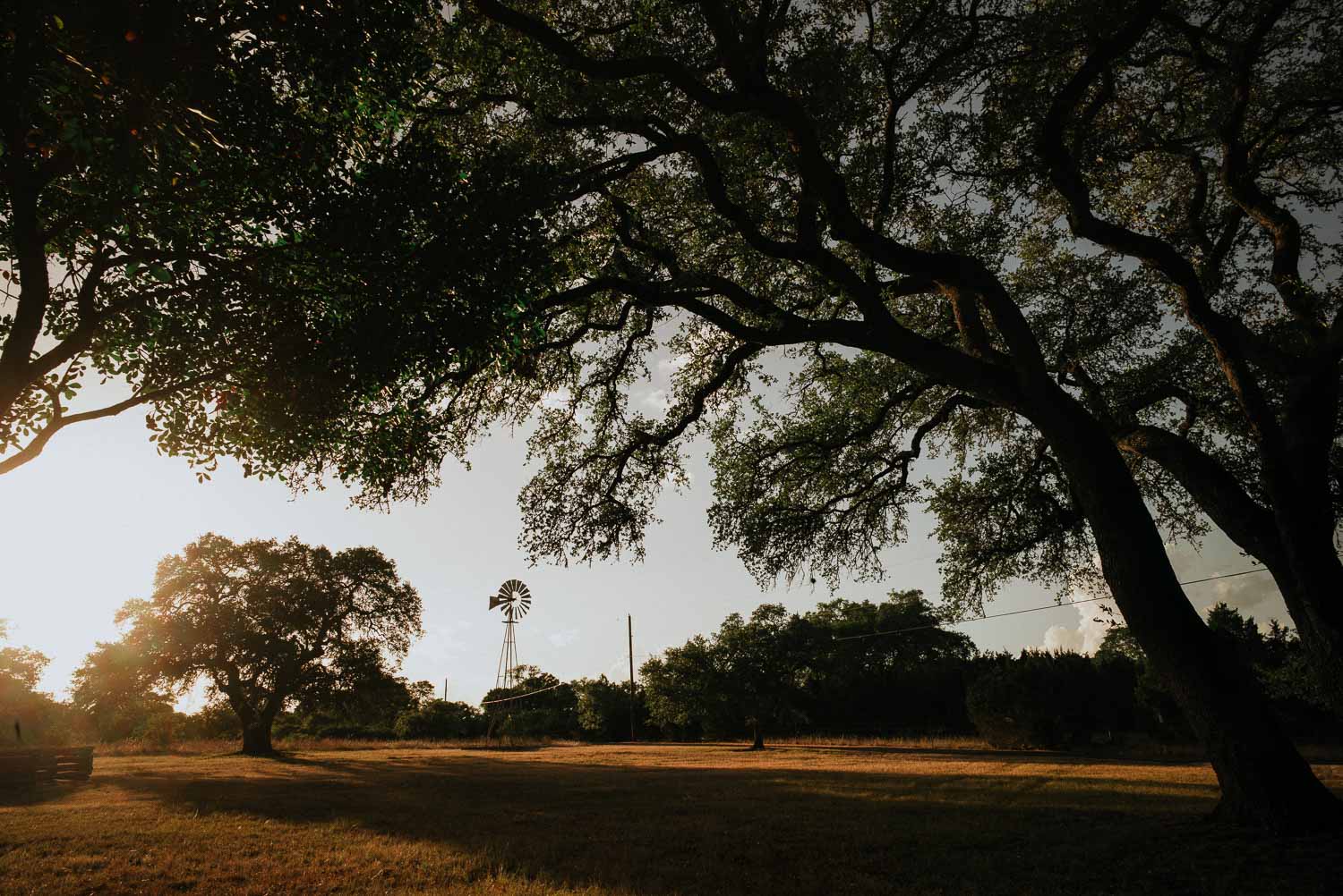 Gorgeous Hill Country Wedding