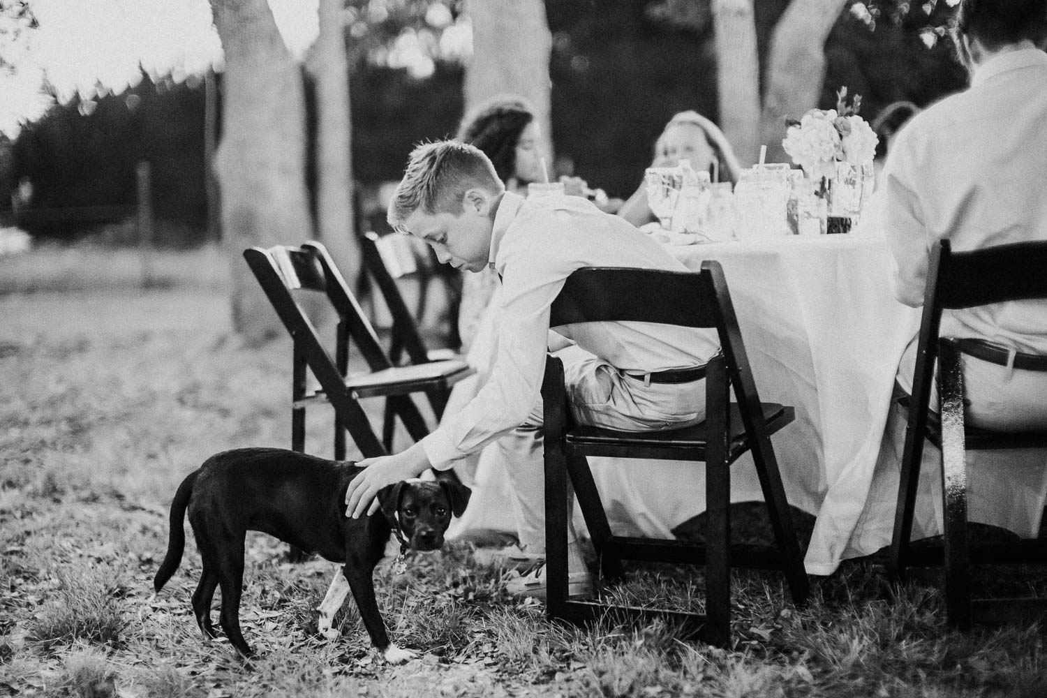 During the wedding reception, a little boy greets the owners dogs