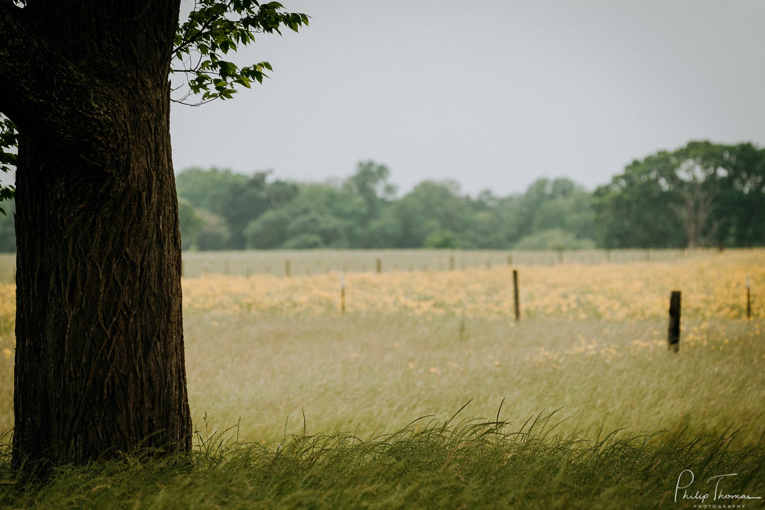 The back view of The Grand Texana Wedding Barn