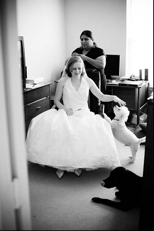 Award winning WPJA and ISPWP images. The bride sits with her two dogs.