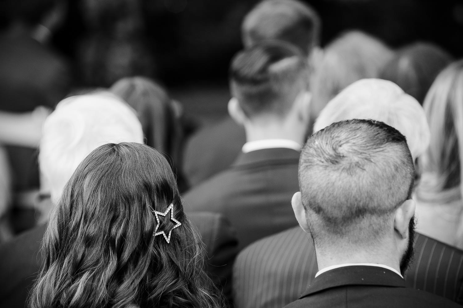 Backs of wedding guests heads at Barr Mansion, Texas