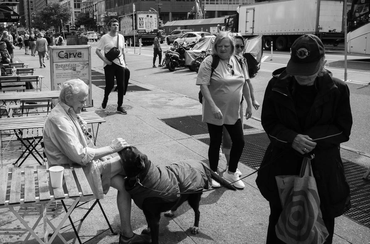 A man enjoying the sunshine pets a dog - Carve - 760 8th Avenue SE L1000335