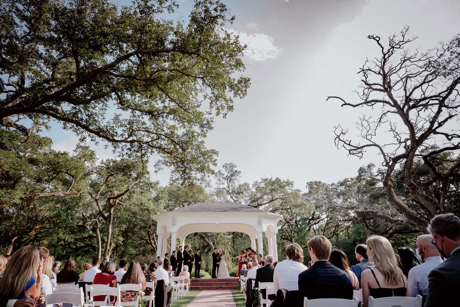 Texas Leica Wedding Photographer-- THE SPRINGS-Magnolia Manor-Angleton-- Philip Thomas