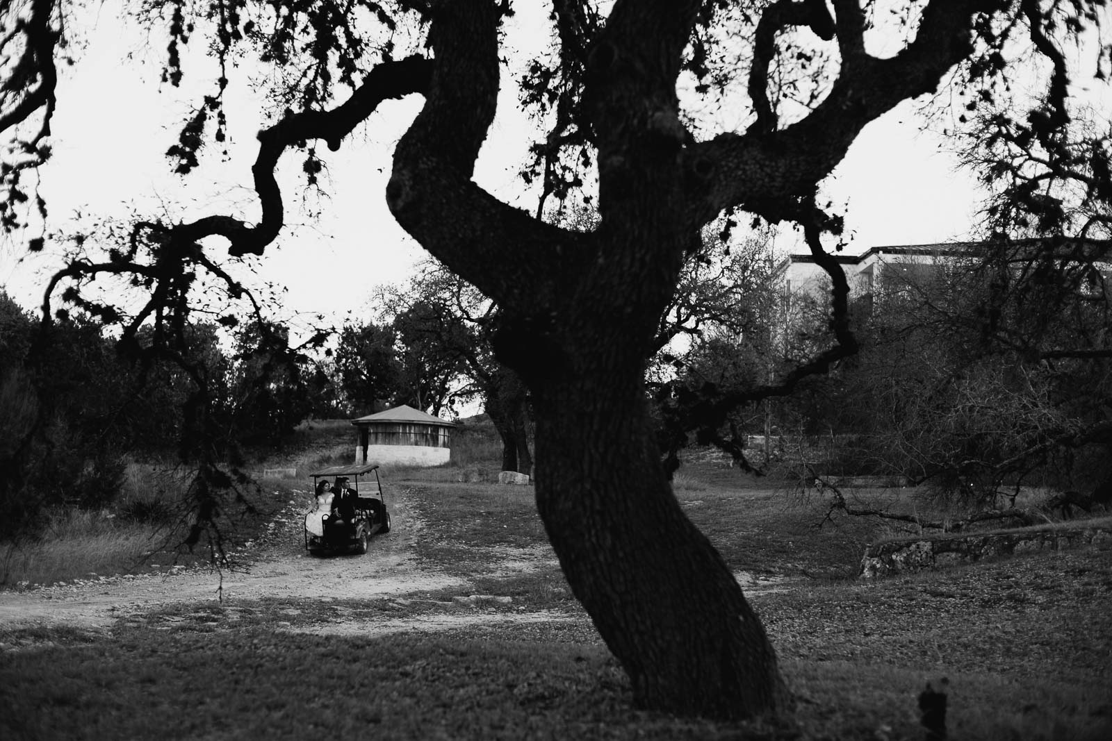 An old oak tree frames to photograph in a black-and-white image with the bike room health card in background
