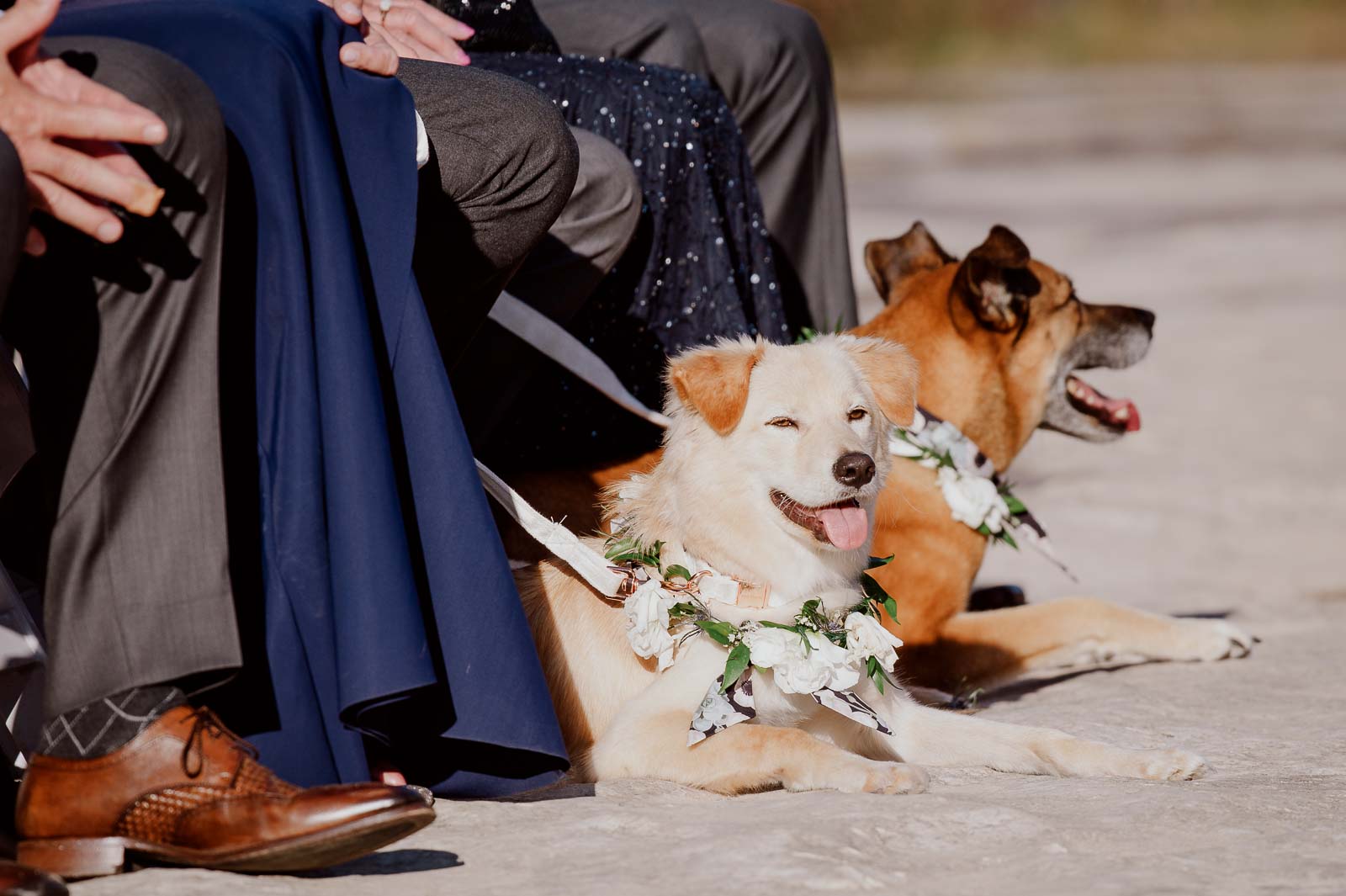 034 The Waters Point Wedding Leica wedding photographer Philip Thomas Photography