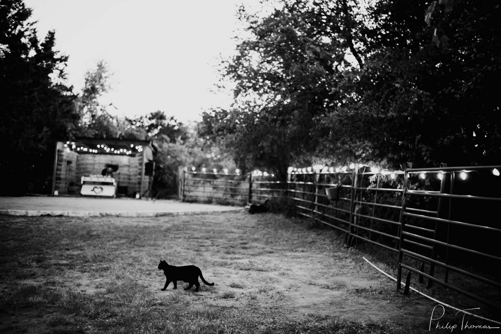 062 Hudson Bend Ranch Multicultural sudanese wedding Philip Thomas Photography