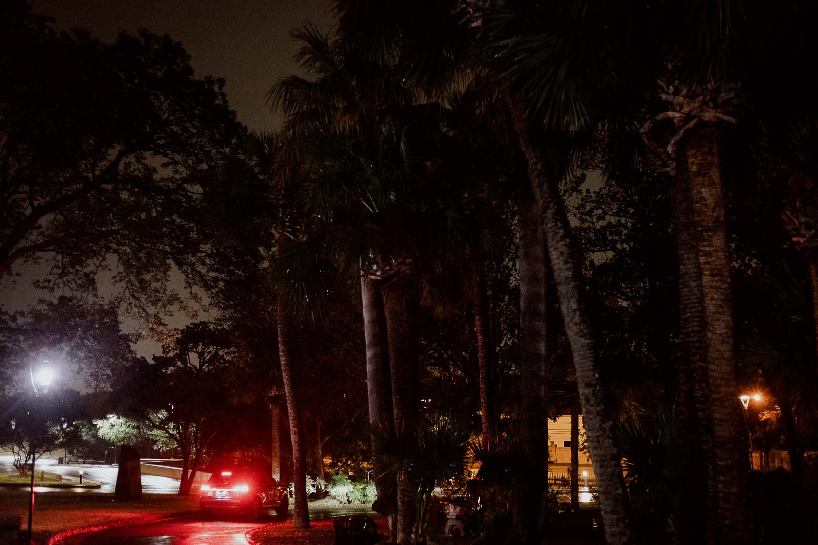 A SUV drives of with the couple inside at the McNay as palms trees are silhouetted against the night sky