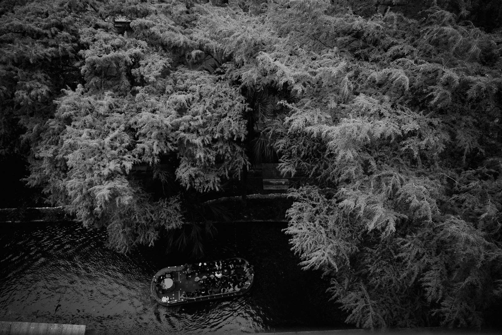 A river barge full of tourists makes its way past a Hilton hotel