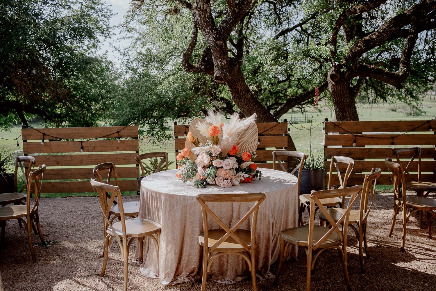 013 The Addison Grove Sangeet Party in Austin Leica photographer Philip Thomas Photography