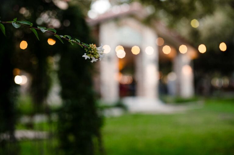 Texas Veranda The Veranda Wedding + Reception in San Antonio, Texas