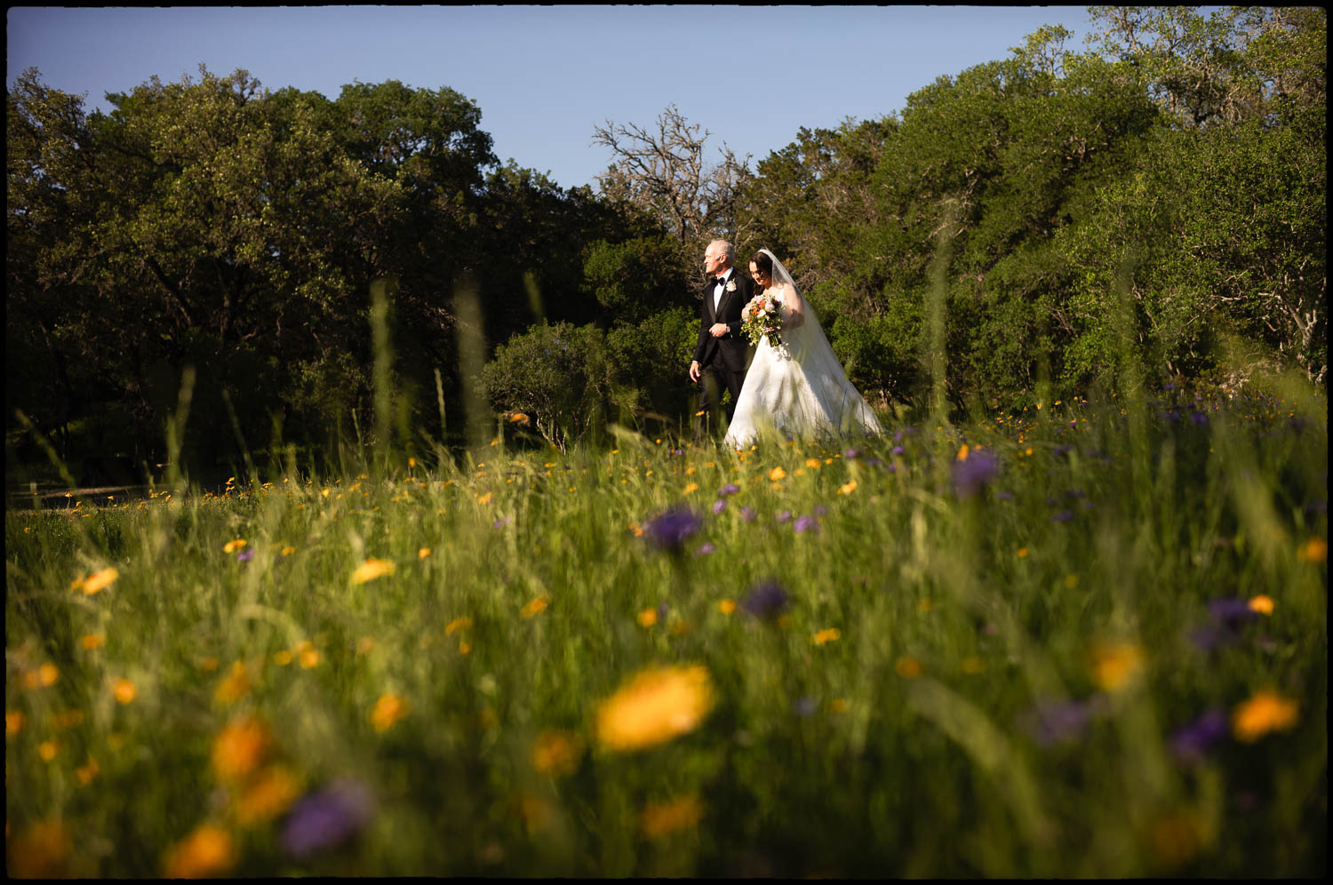 037 Kendalia Hill Country Wedding Ceremony + Reception Philip Thomas Photography