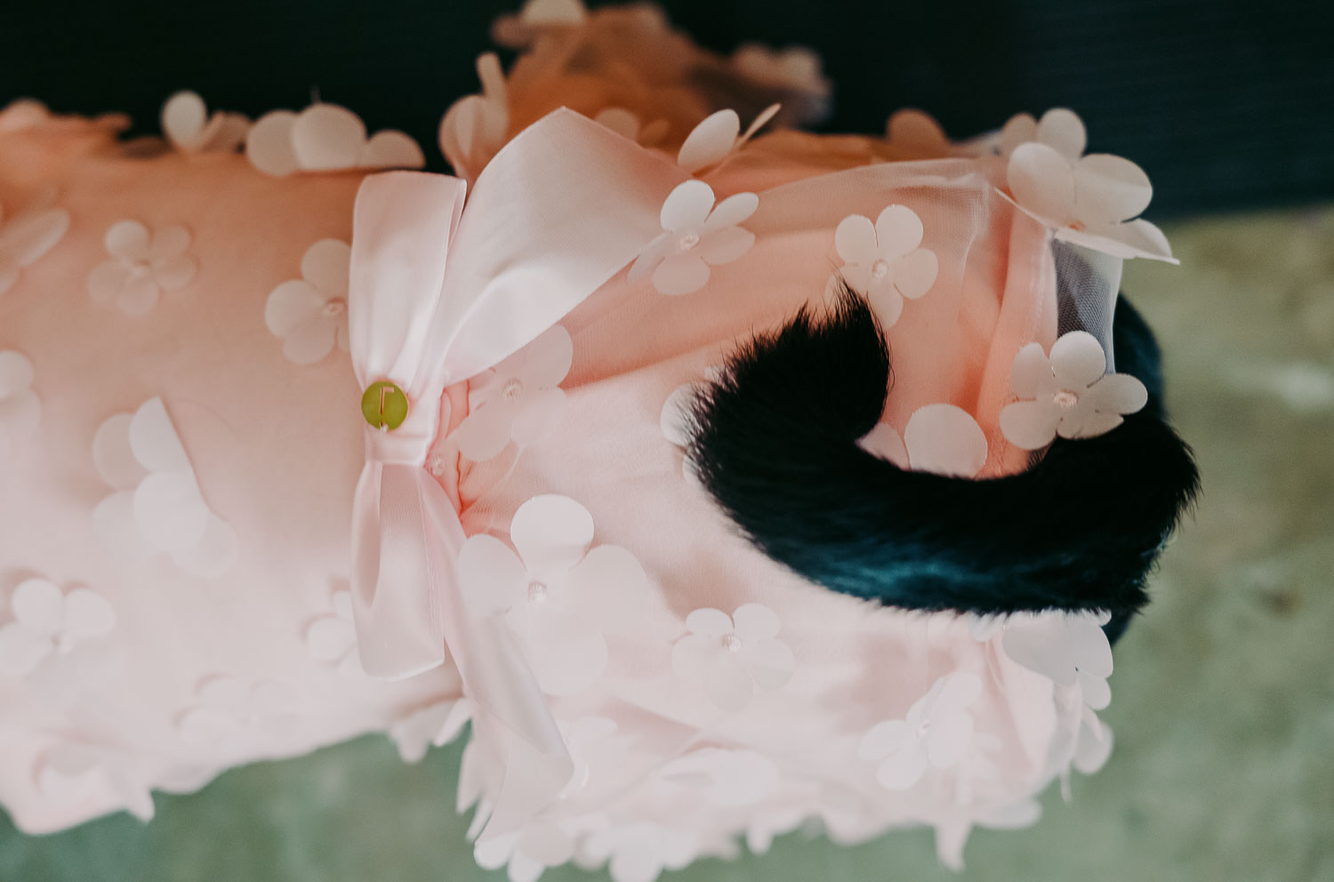 15 Moon Shadow Haven Wedding Ceremony + Reception
