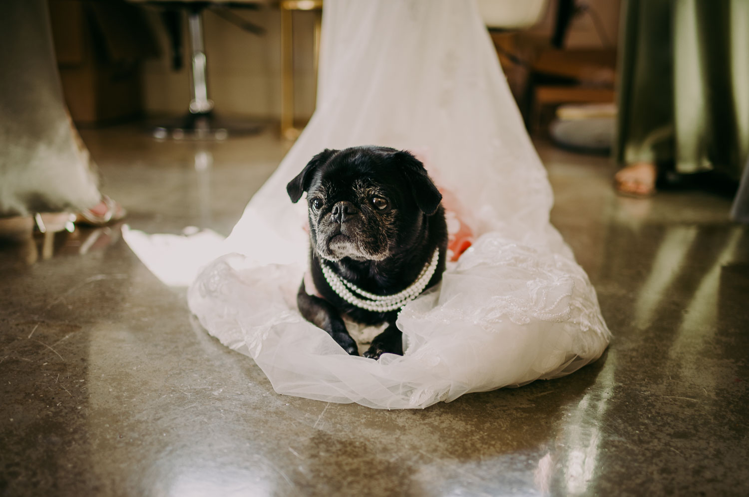 18 Moon Shadow Haven Wedding Ceremony + Reception