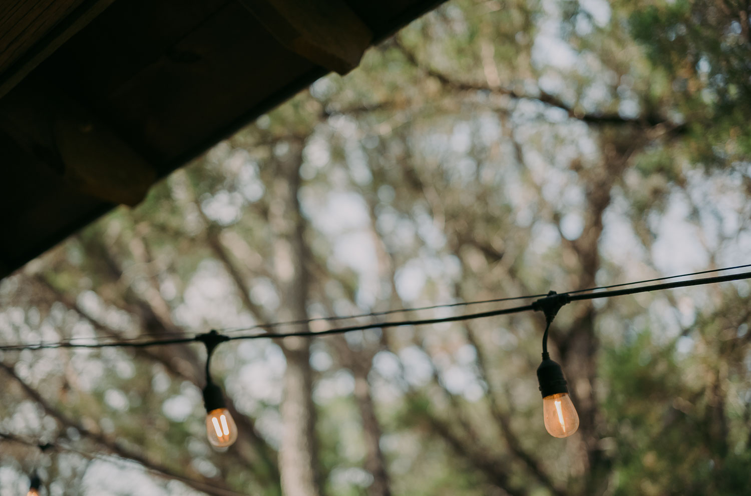 19 Chapel at Gruene Wedding Reception in New Braunfels Philip Thomas L1007120