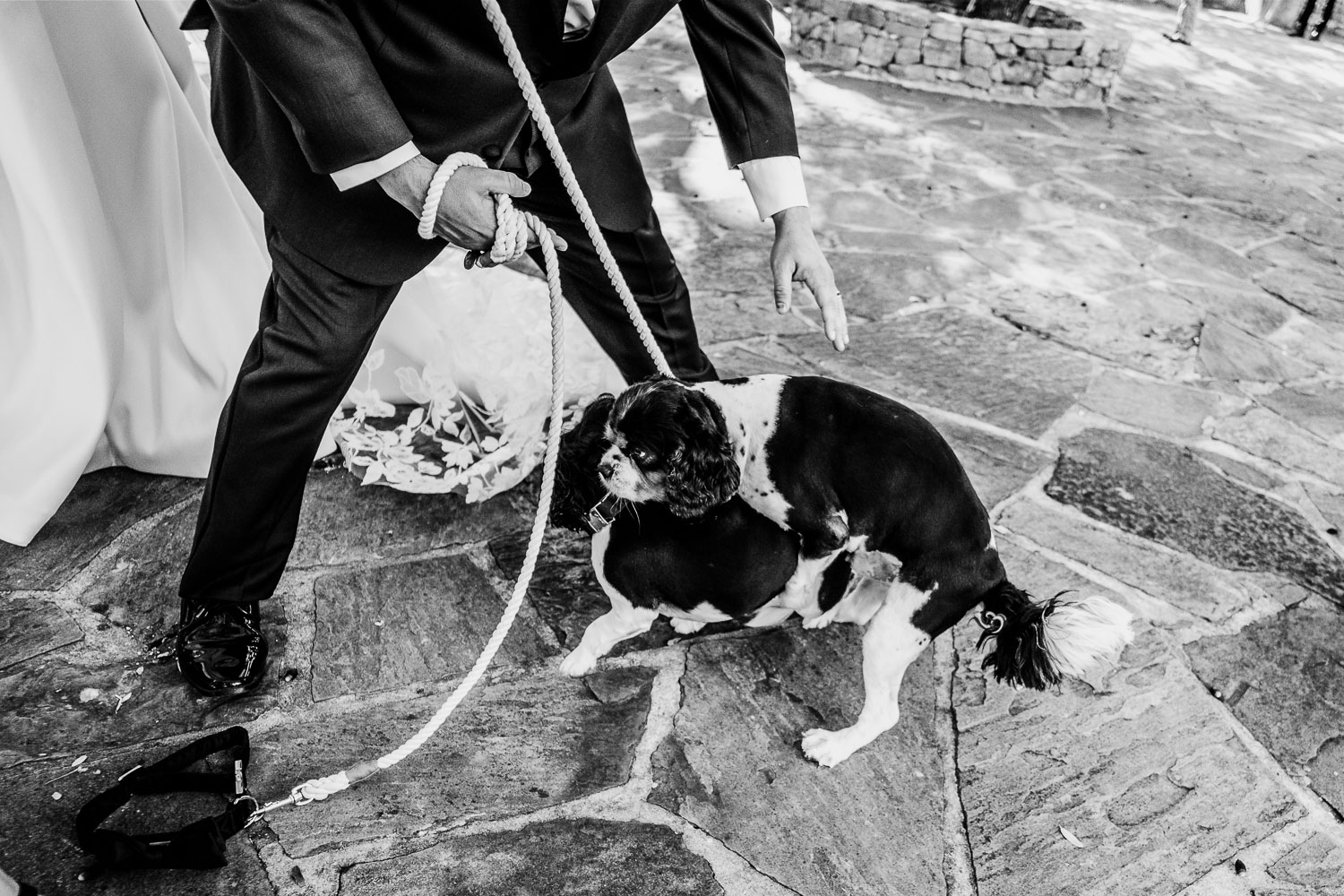 Lost Mission Wedding Ceremony + Reception | Peyge + Luis 26 Dog humping at a wedding receotion
