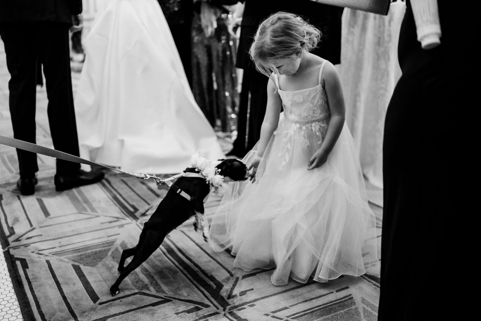 Girl in dress interacts with dog.