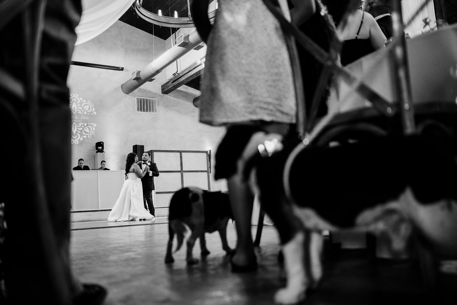 Lost Mission Wedding Ceremony + Reception | Peyge + Luis 40 Couple first dance at Lost Mission at dogs look