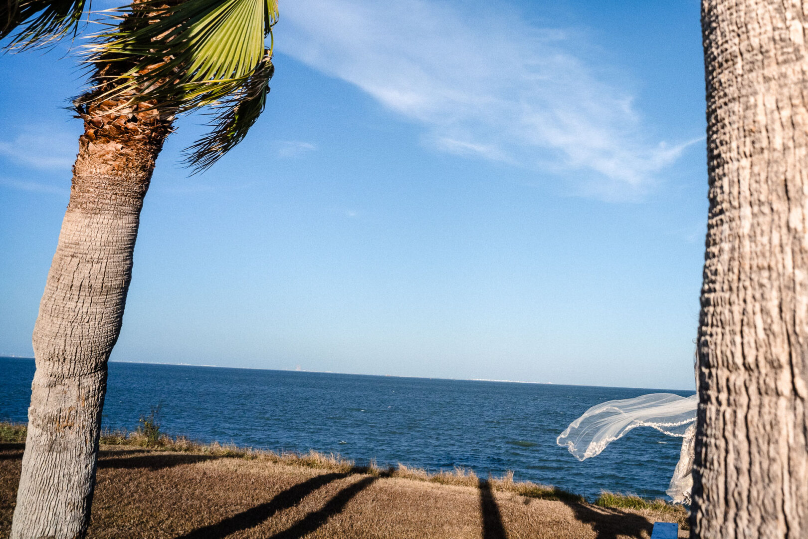 Fall Wedding in Corpus Christi, Texas | Art Center | Brittany + Cain 21 23 Wedding ceremony and reception in Corpus Christi Texas Philip Thomas L1070432