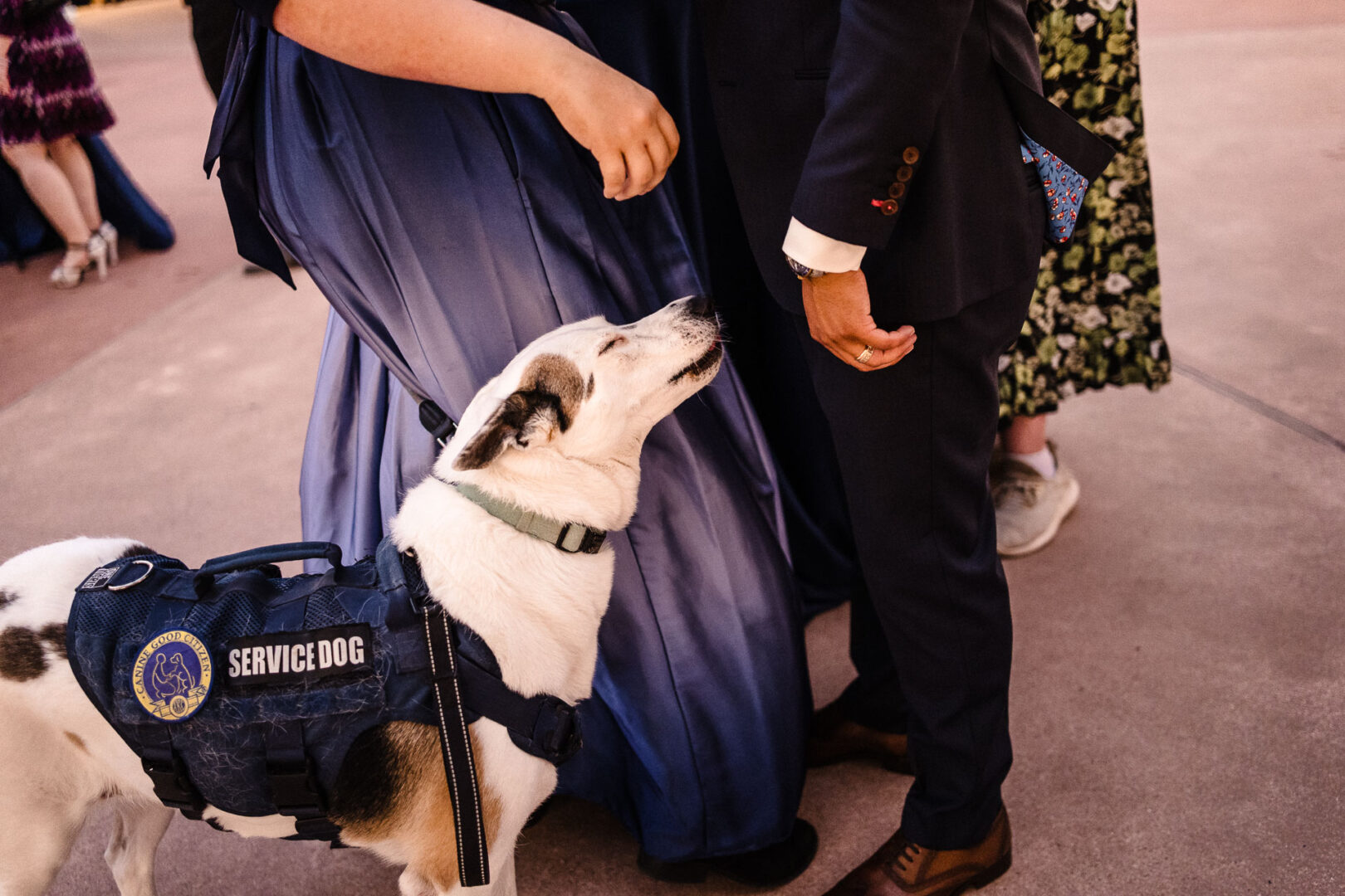 Fall Wedding in Corpus Christi, Texas | Art Center | Brittany + Cain 26 29 Wedding ceremony and reception in Corpus Christi Texas Philip Thomas L1043135
