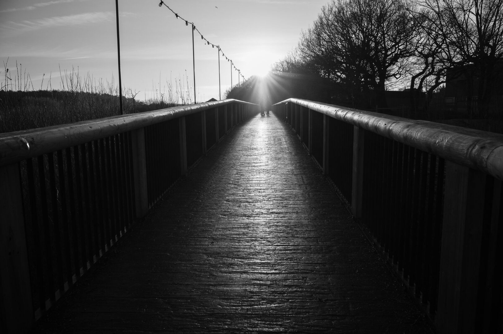 Rain, Reflections & Walking London with a Leica M11 (28mm) 6 A view from a icy footbridge at Yorkshire Wildlife Park