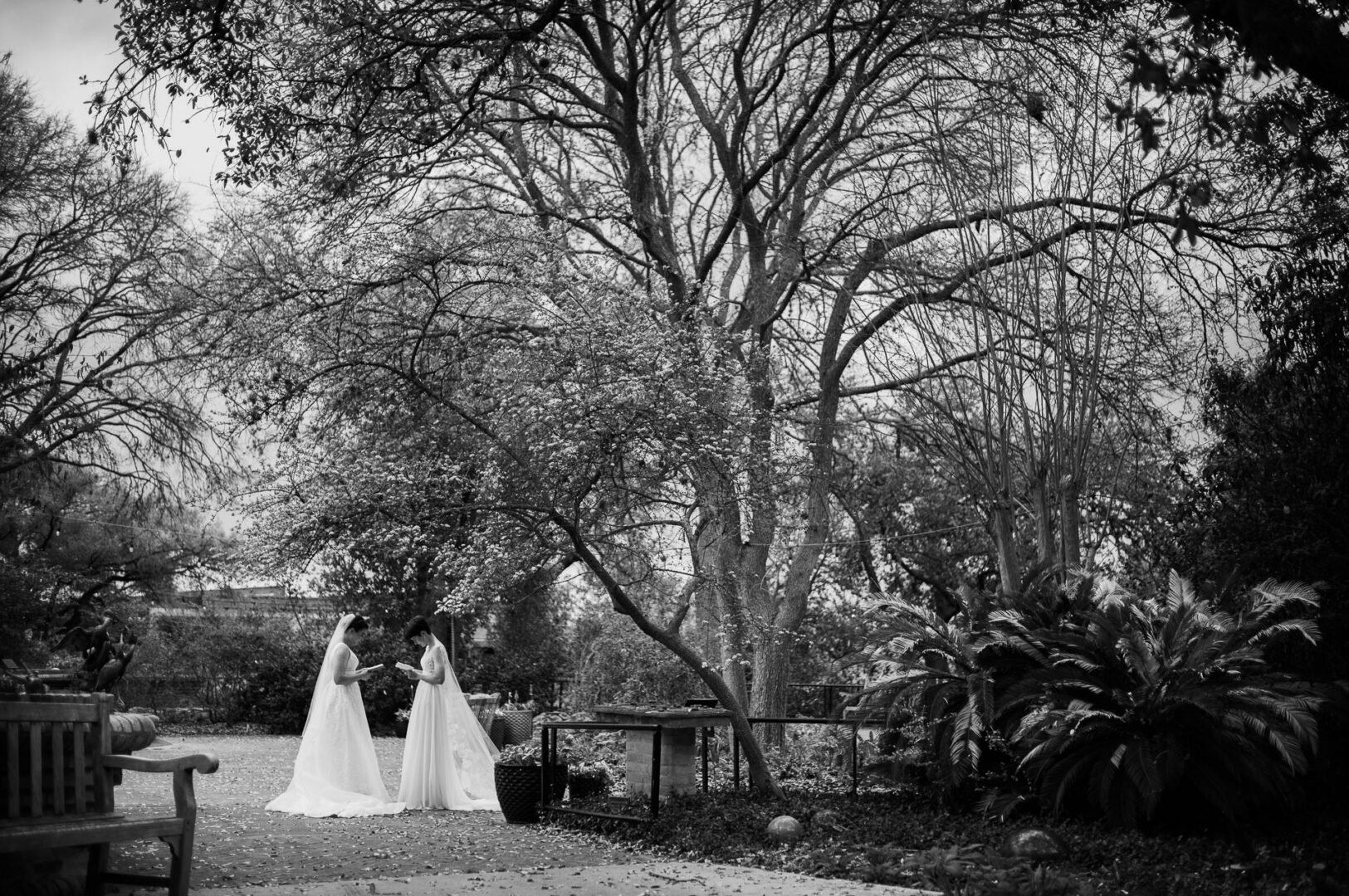 Winter Wedding at Botanical Gardens, San Antonio, Texas 10 Two brides in a serene garden