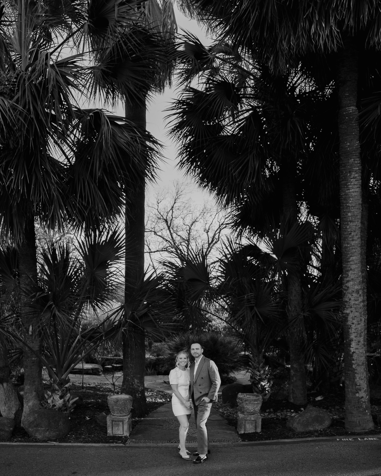 McNay Art Museum Couple posing among tall palm trees.