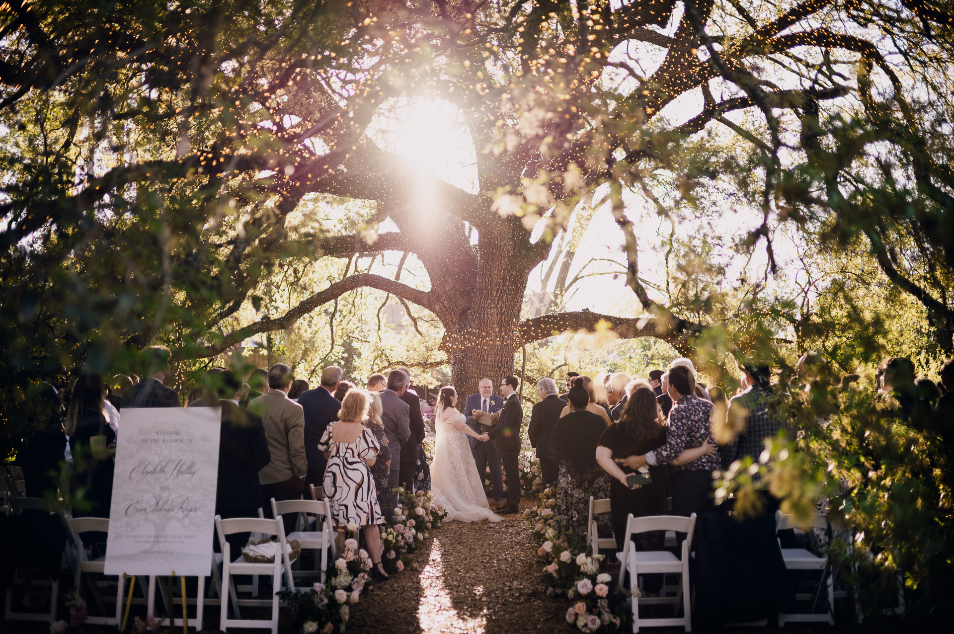 Oak Tree Ceremony & Candlelit Reception at The Houstonian 26 Outdoor ceremony scene with sunlight filtering through the trees at The Houstonian Hotel.