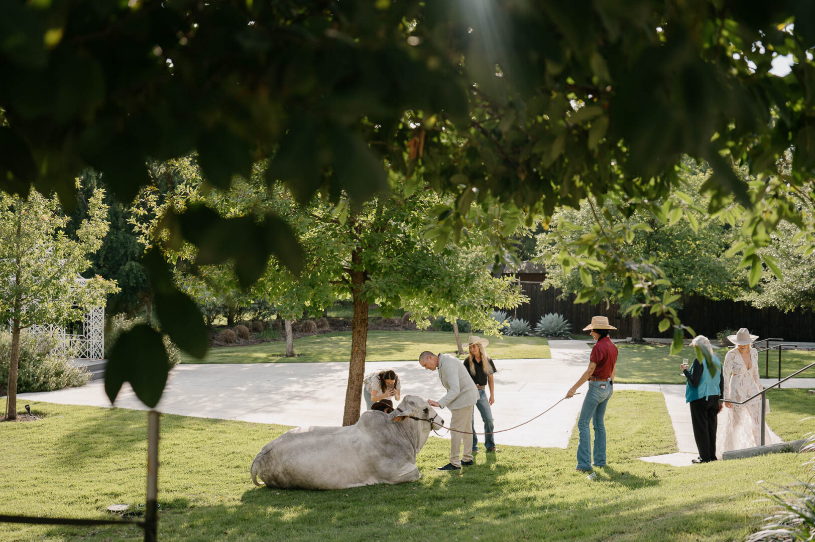 Outdoor ceremony scene beneath trees on the grounds of The Kendall in Boerne.
