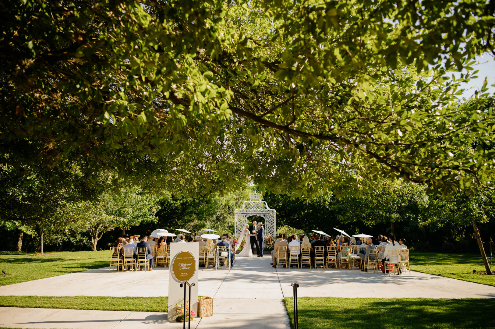 Tree canopy detail from the wedding grounds at The Kendall in Boerne.